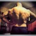 Max Muscle (@maxmuscle2014) Twitter profile photo Max Muscle (@maxmuscle2014) Twitter profile photo