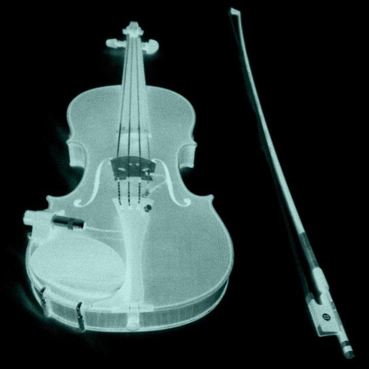 I am an embodied spirit of music.  My current host is least limited when channeling with a violin.