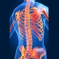 Neurochir_LUMC's profile picture. 