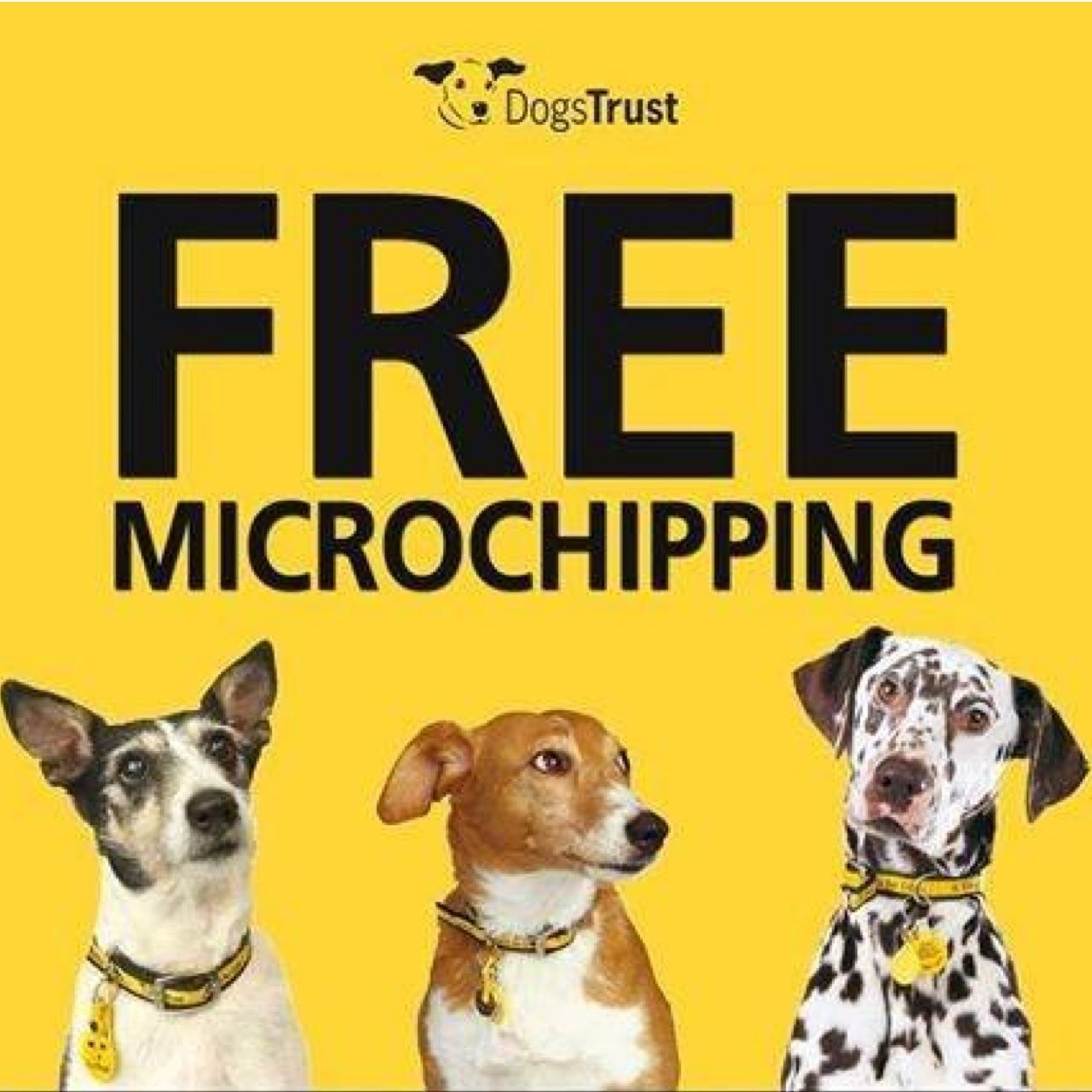 Staffed by experienced, caring Vets backed up by a great team of Veterinary Nurses and Receptionists. Southampton, Hampshire.