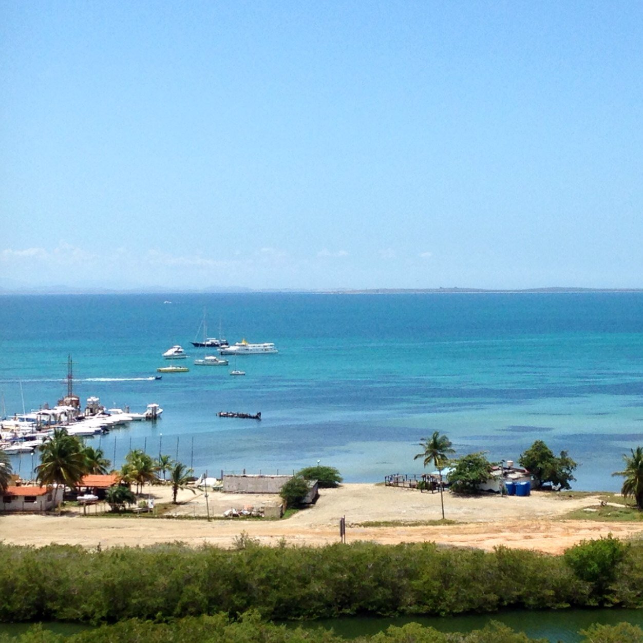 dariohurtado06's profile picture. 