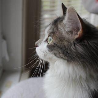 EmilyMollancius's profile picture. Movies+Music+Books=Life