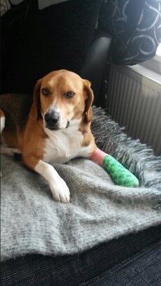 lee_surtees's profile picture. Life's to short for regrets, look forward not back!