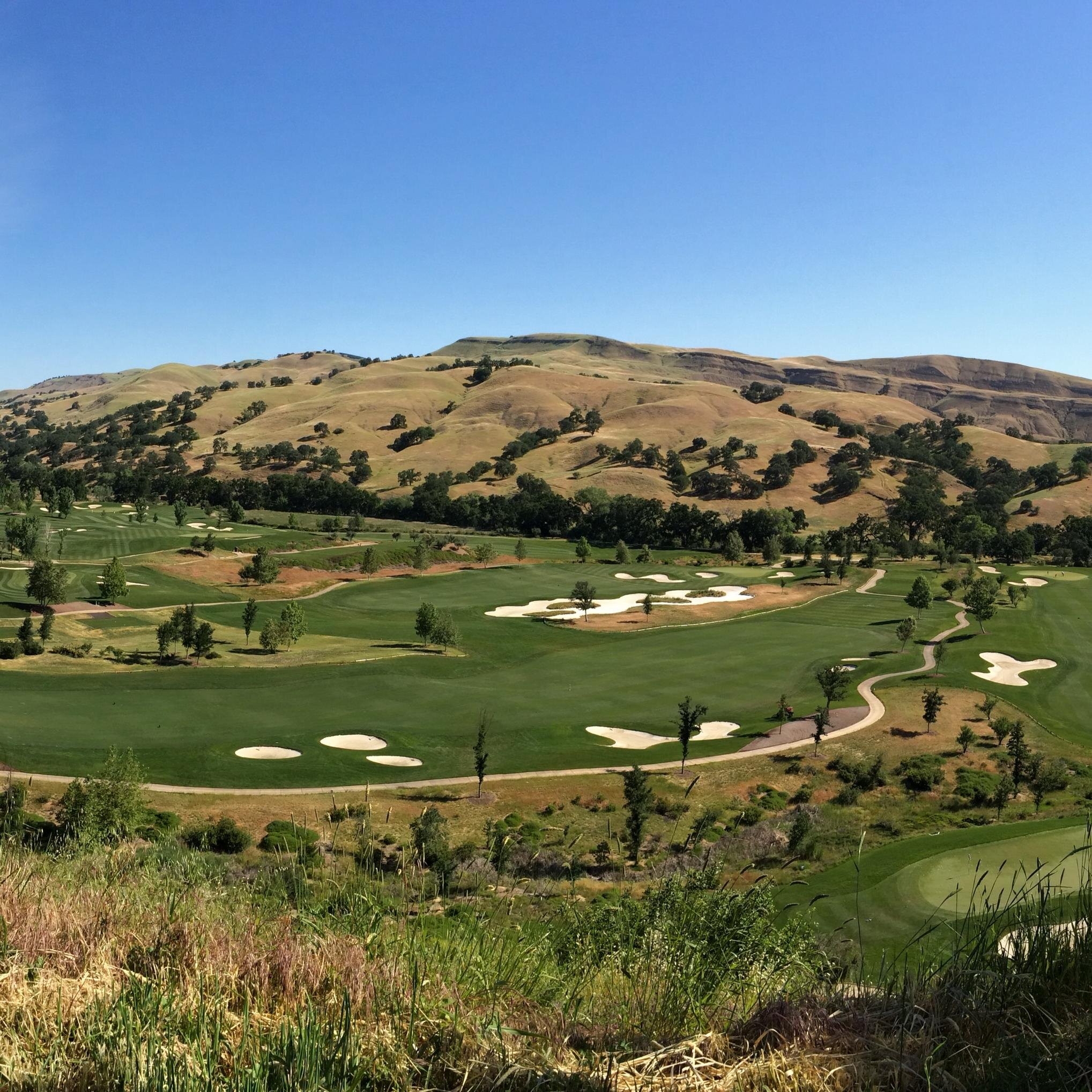 scardenas1230's profile picture. 