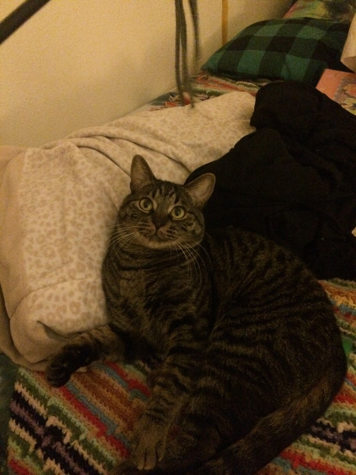 Mom of 3 and sick and tired of all this ridiculous bullshit.