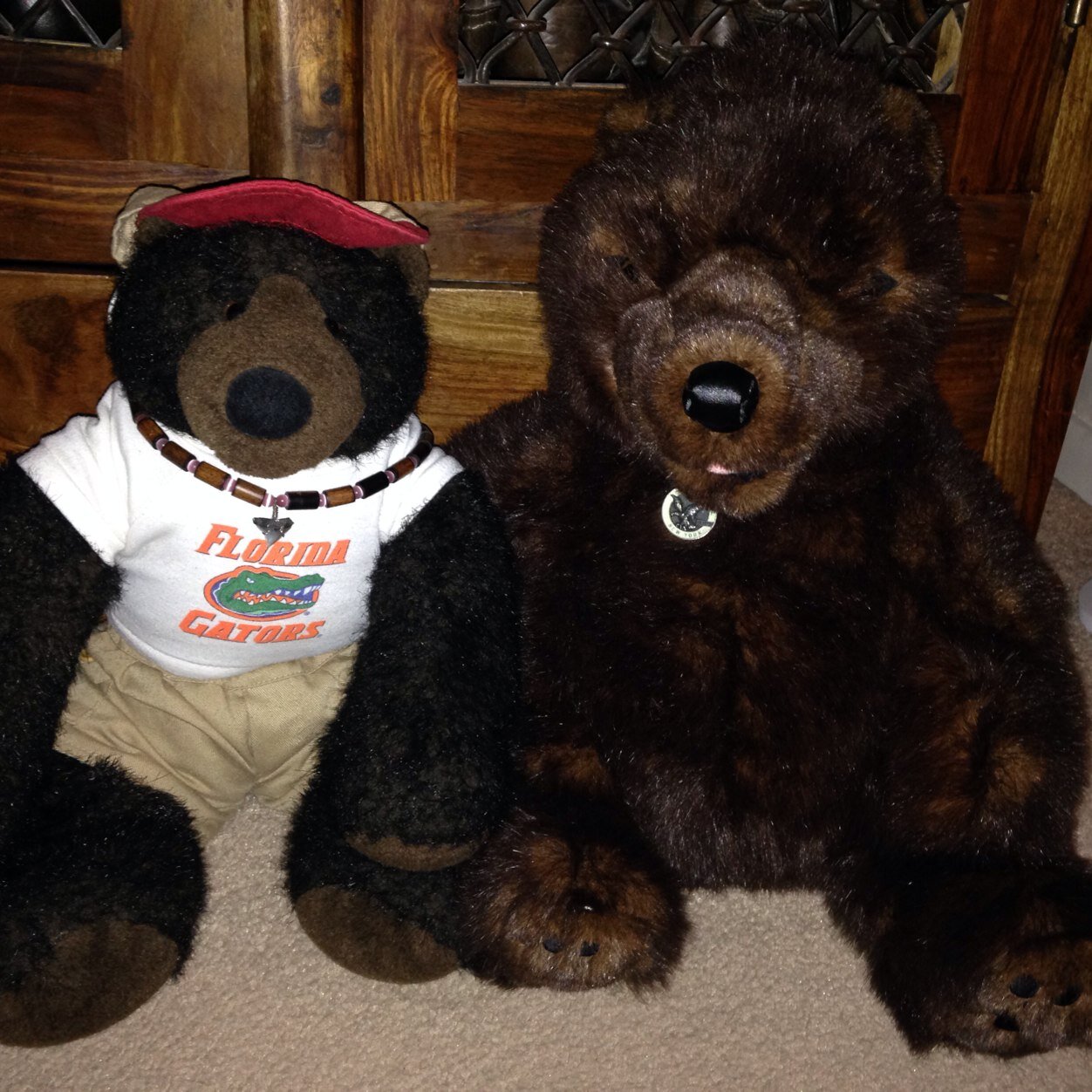 The brains and the braun, Grizzler born BAB Orlando, Fl & Bertie born WDW Wilderness Lodge, Orlando, Fl