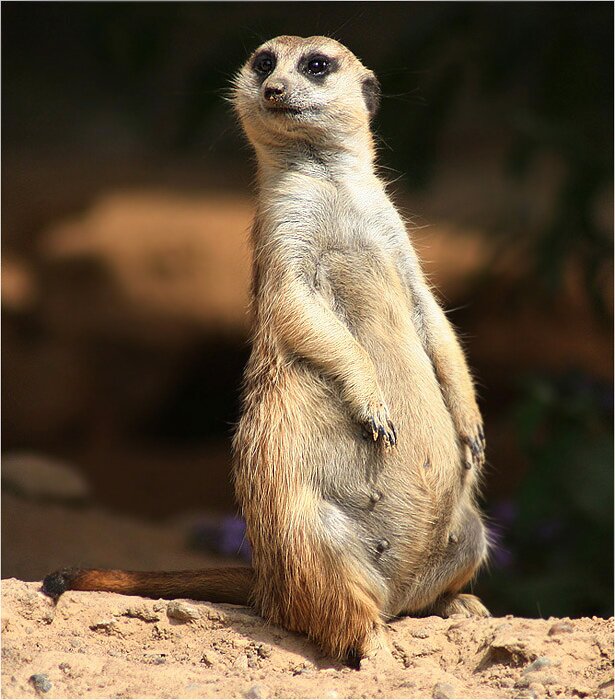 kamilhyra's profile picture. 