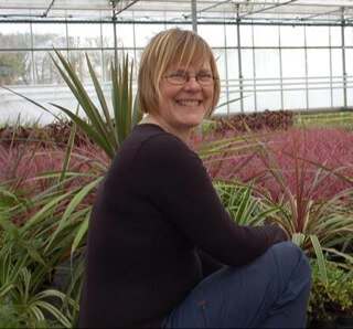 Mortegg's profile picture. Plant propagator at work & at home. We keep bees & poultry, grow veg & flowers. Smallholder Plants and Bees on FB.