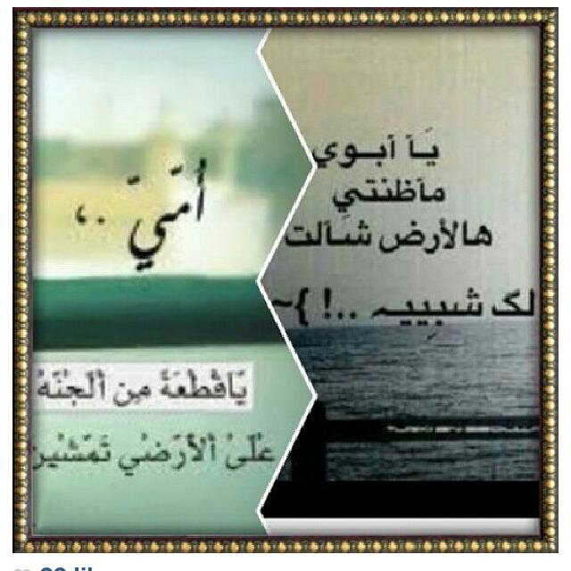 يا حبَذا الجَنہ طيبہ و بارد شرابِها ؛ لا شيءٌ بعدُها يستحِق التَمنِي ؛ ف يَا الله دلّنَا علىٓ طريقها ، ولا تَحرمنا من رؤيَتك يا رحمن فِيها .