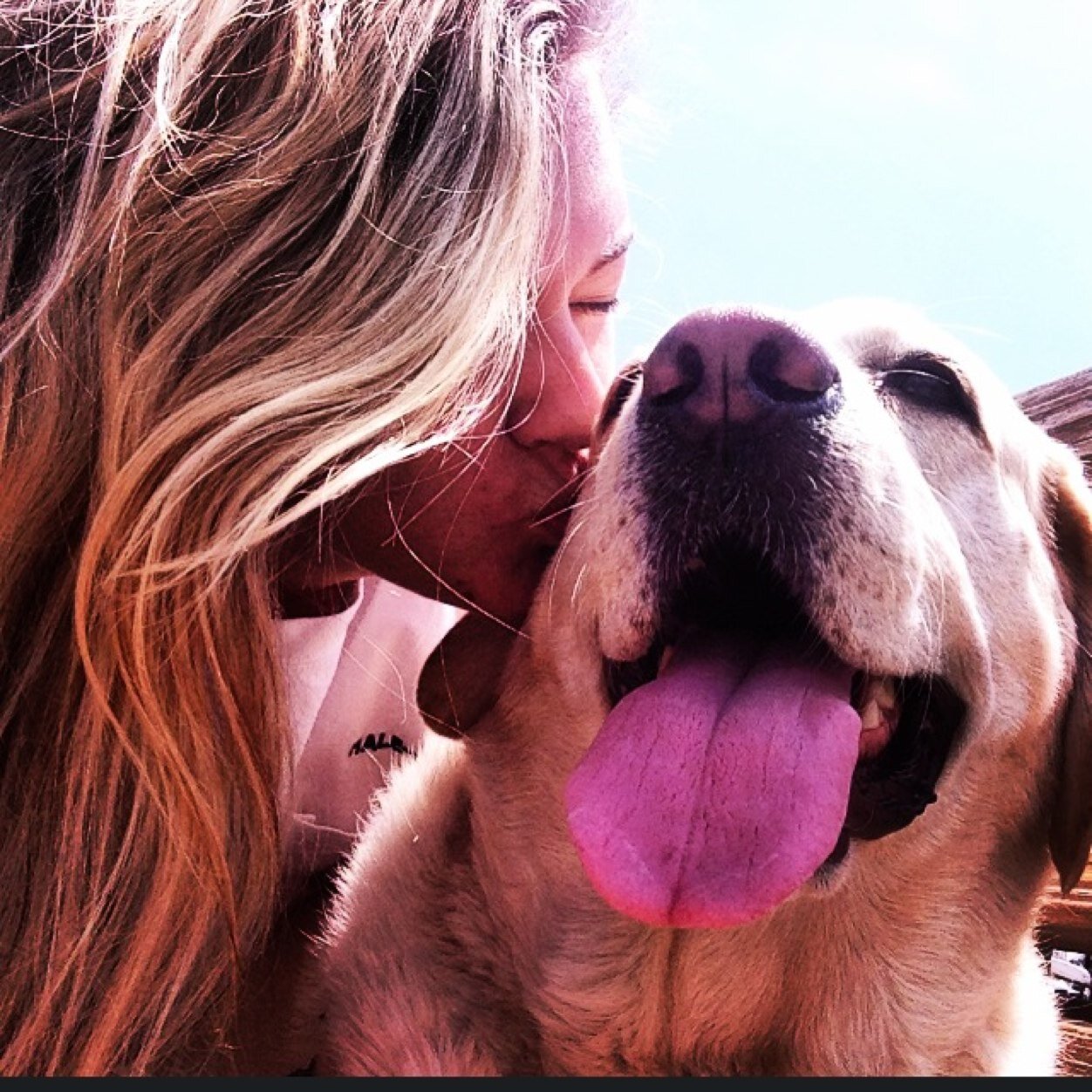 victoriahaleyea's profile picture. tweeter tweeter pumpkin eater