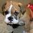 BrownstownElem's profile image