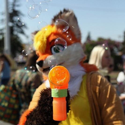 kender_lis's profile picture. 