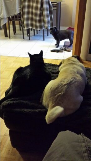 aaronhowes1's profile picture. 