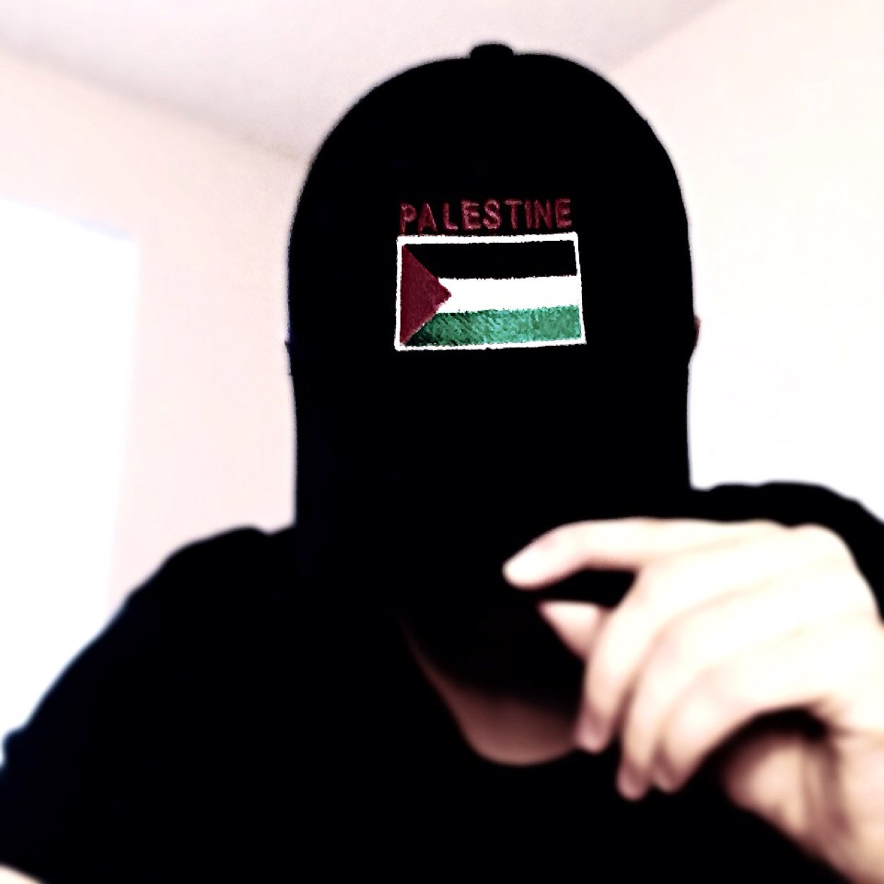 MohamedPALSTNE's profile picture. 