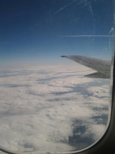 Mirjana_mtc's profile picture. 