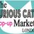 CuriousCMarket's profile image