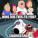 beverley Collins  - @bevcutiepie34 - Twitter