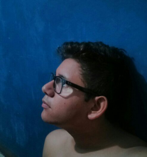 * Escritor por ratos * psicólogo innato * loco incurable * crudamente honesto * estúpidamente enamoradizo * irremediablemente melancólico *