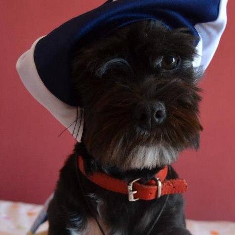 LuisianaLuisi's profile picture. Hija de Alexandra. Felizmente enamorada de David. Muy feliz. ¡De tu envidia nase mi fama perra!