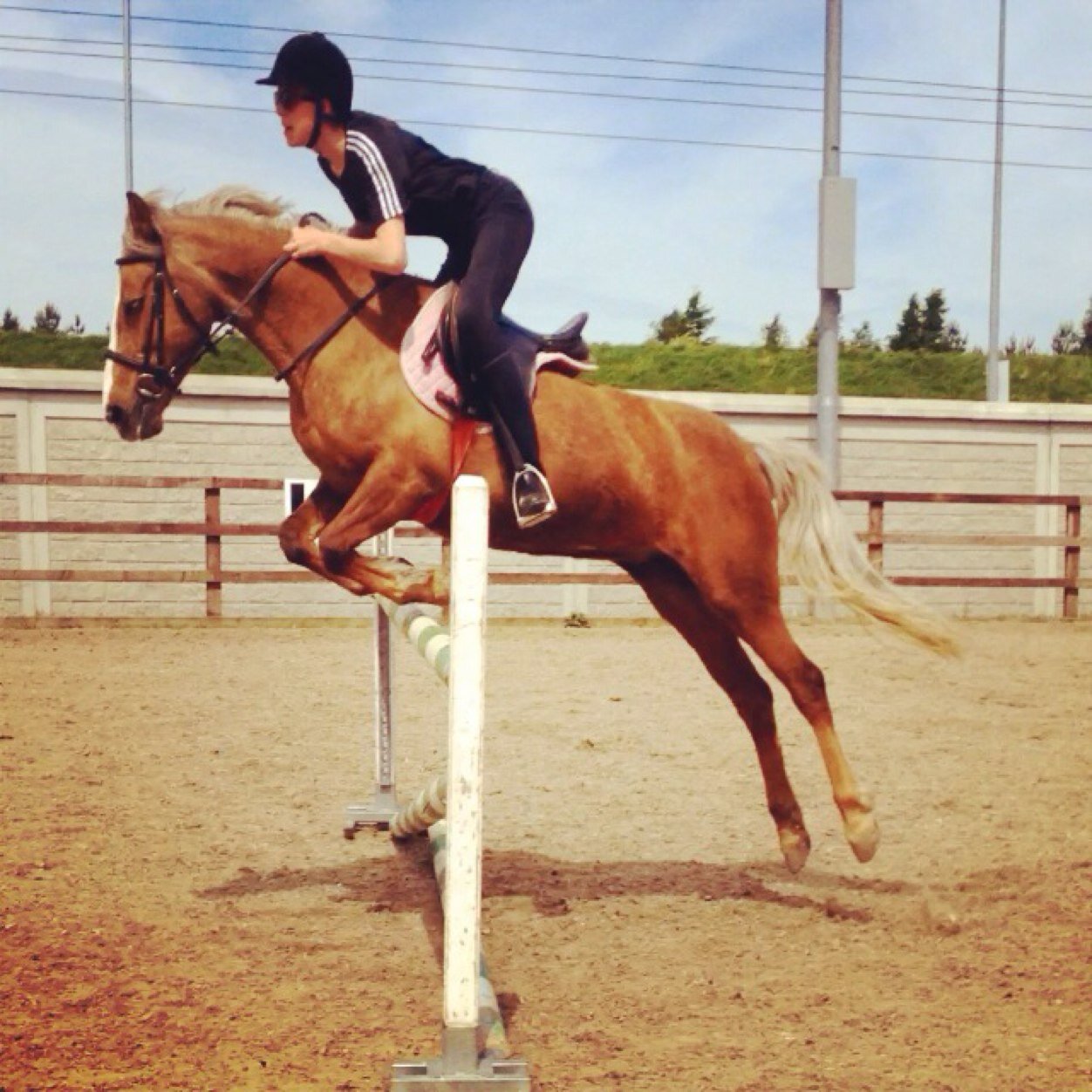 LeeLeequirk1's profile picture. 