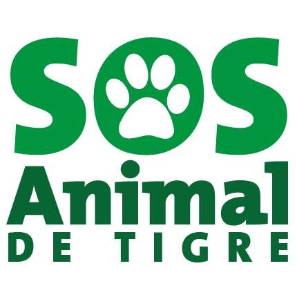 Tratamos de reencontrarlos con su familia o les conseguimos un nuevo hogar. No tenemos refugio, lo contratamos con la ayuda de donaciones y padrinos #Tigre #ARG