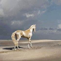 عاشق غيوم