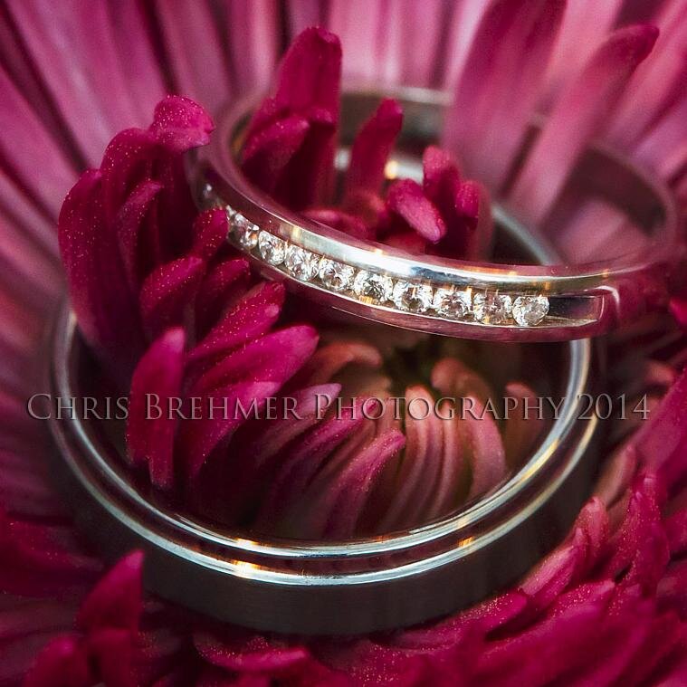 chrisbrehmer1's profile picture. Wilmington NC Photographer