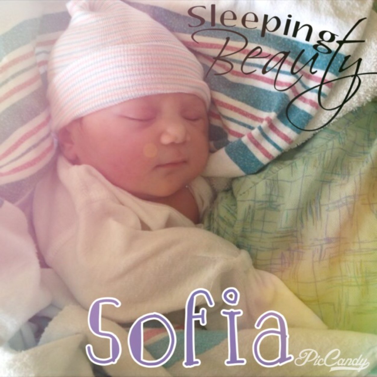 This is Sofia Figueroa. @Loki_Tomo 's sister. I am a baby but @Loki_Tomo is controling my twitter!!!