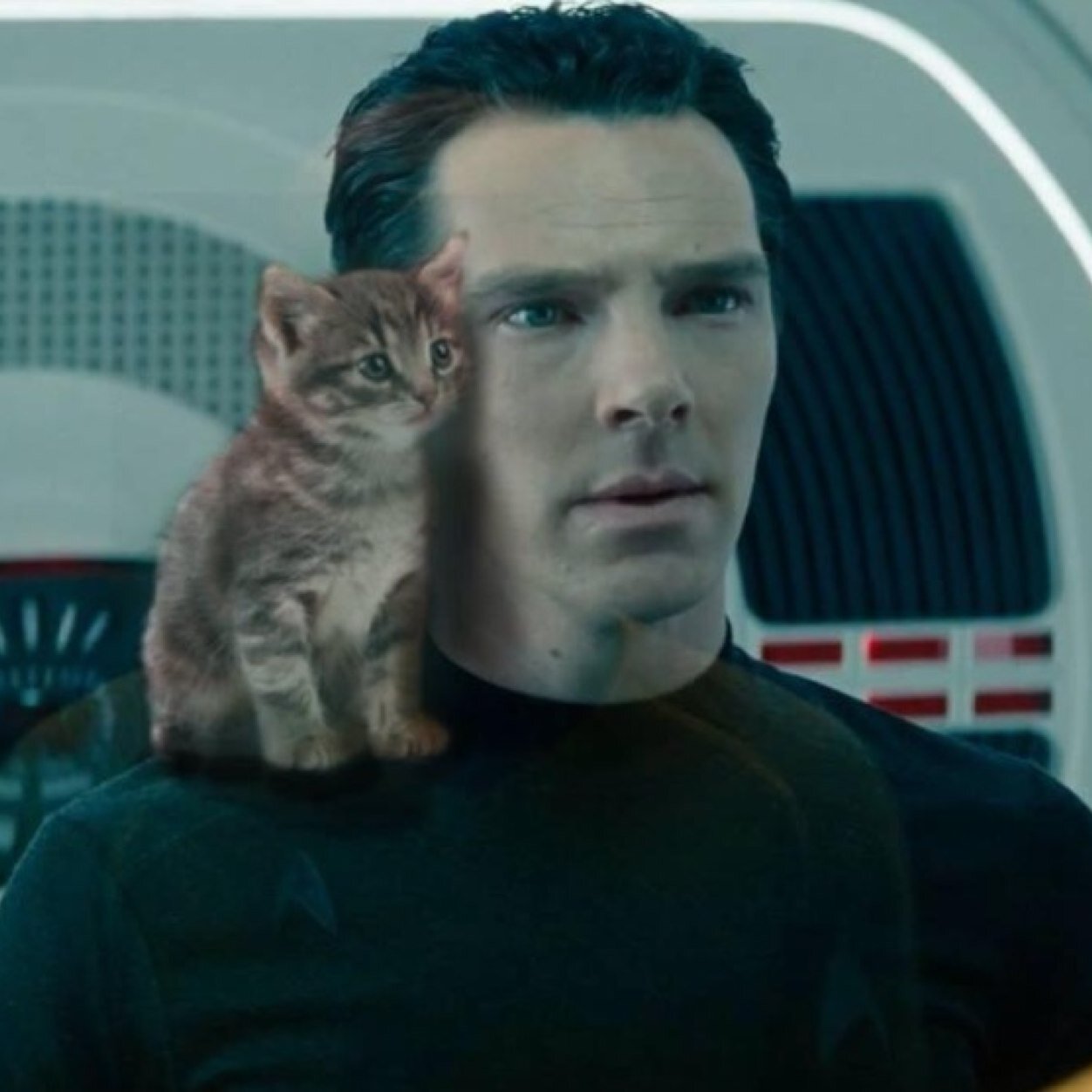 I got a kitty and you don't!