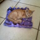 Flora Reyes - @FloraReyes17 - Twitter