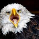 Thomas Poth - @TPoth_Privat - Twitter