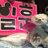 MIYU_kinging