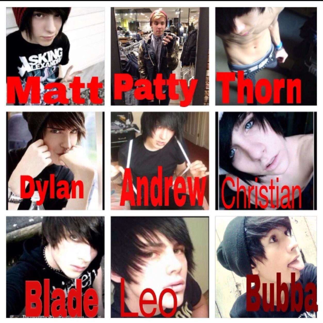 Leo: In love Andrew: Dying  Christian:Single and broken Dylan: Forever with Zacky Bubba: Single Patty: Hazza