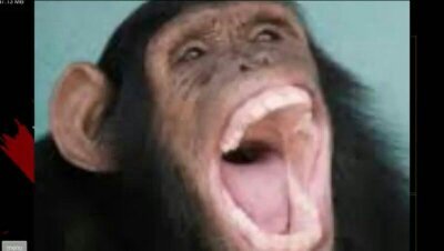 matrixlolgy's profile picture. matias