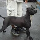 oswaldo sanchez orte - @orte_89 - Twitter