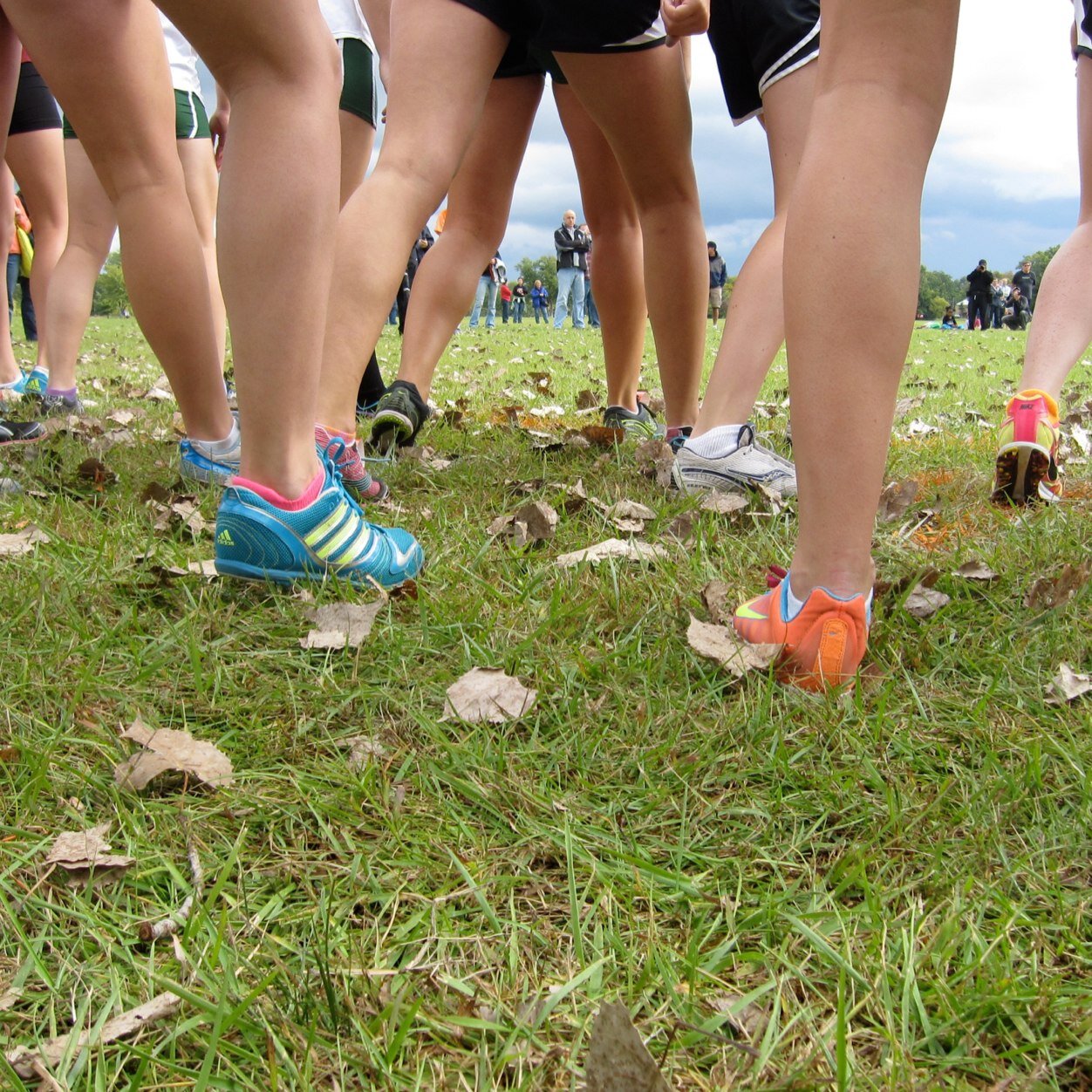 Updates and news from the Fenwick XC & TF program.