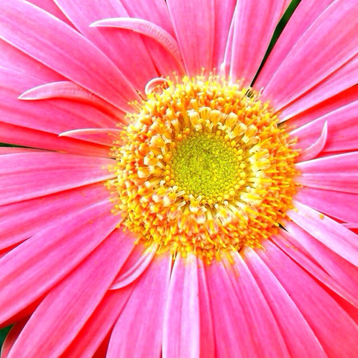 tammymwebb's profile picture. 