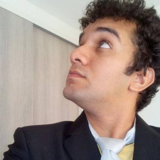 Desenhista, animador, cartunista,
designer gráfico, cineasta, artista plástico,
ator, escultor, pintor.