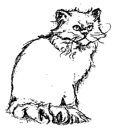 colourpoint's profile picture. Northern Ireland publisher of non-fiction specialising in history, biography, memoir, transport, contemporary and topical interests. Also provides distribution.