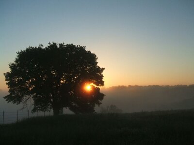 Archer1409's profile picture. 