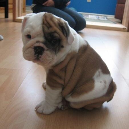 Jonny_carlson3's profile picture. 