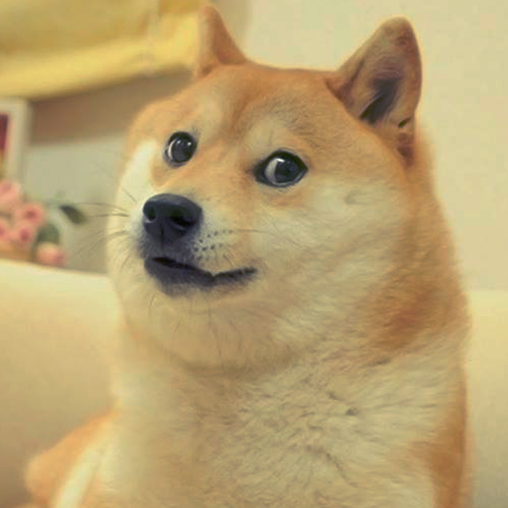 SrFock's profile picture. Bixo escroto