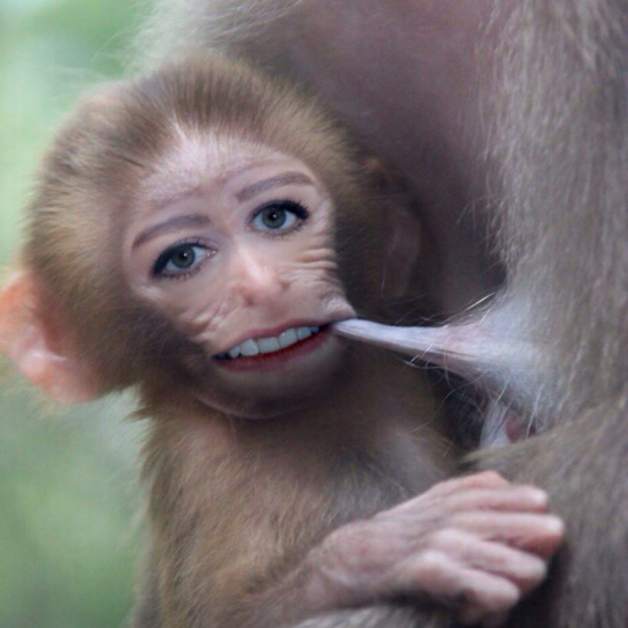 nips_bucky's profile picture. Lets just clasp hands and skip through all the bullshit like we've got rubber boots on our feet and rainbows in our hearts.