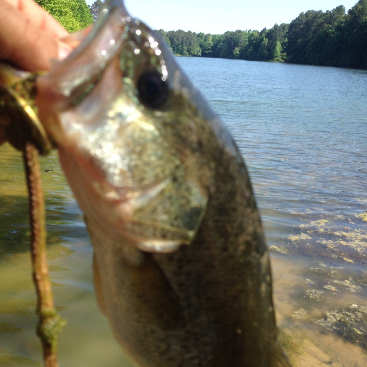 hooker_timmy's profile picture. 