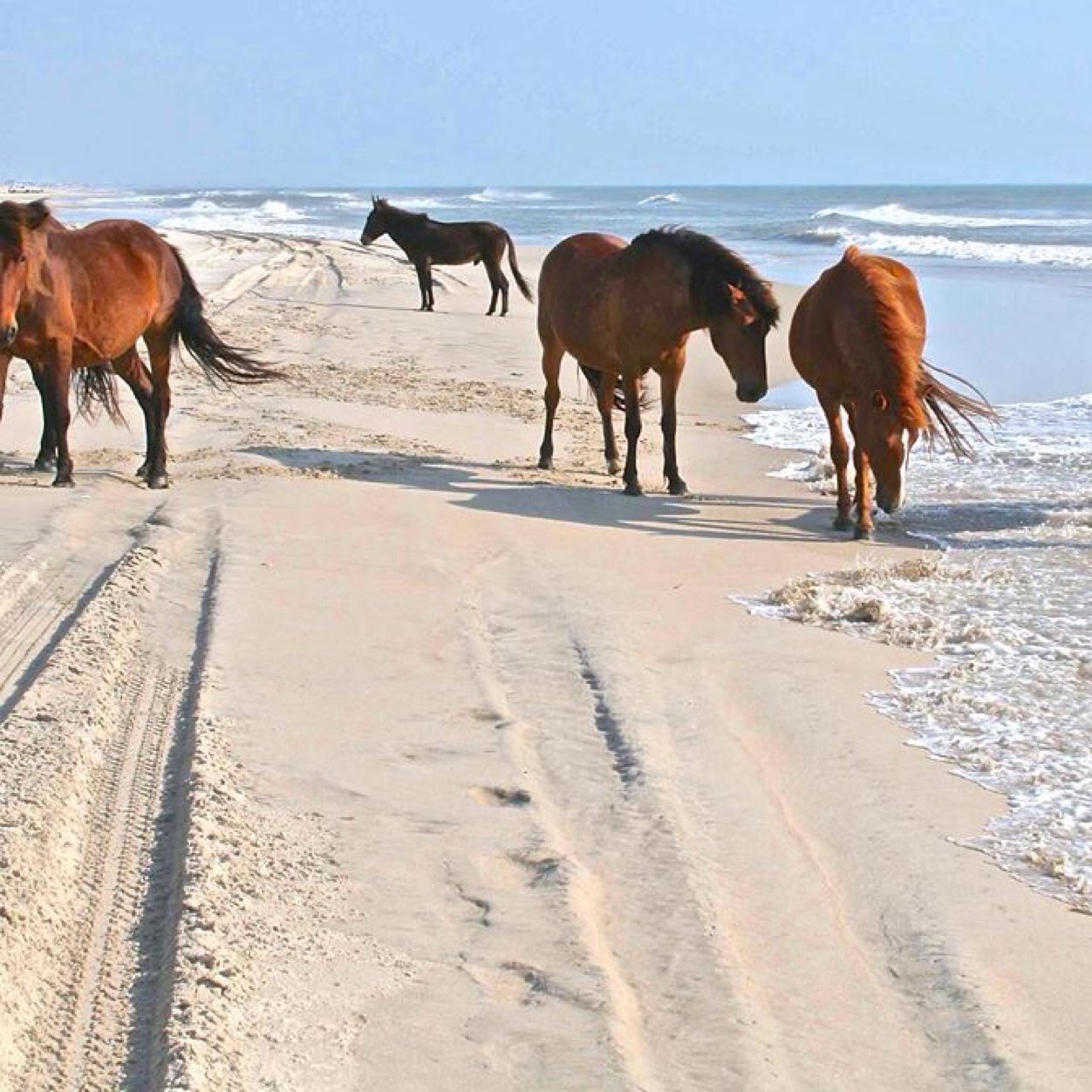 taraphilson's profile picture. 