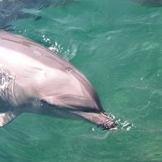 ouggameomosiro's profile picture. ゲームやアニメが大好きです！！