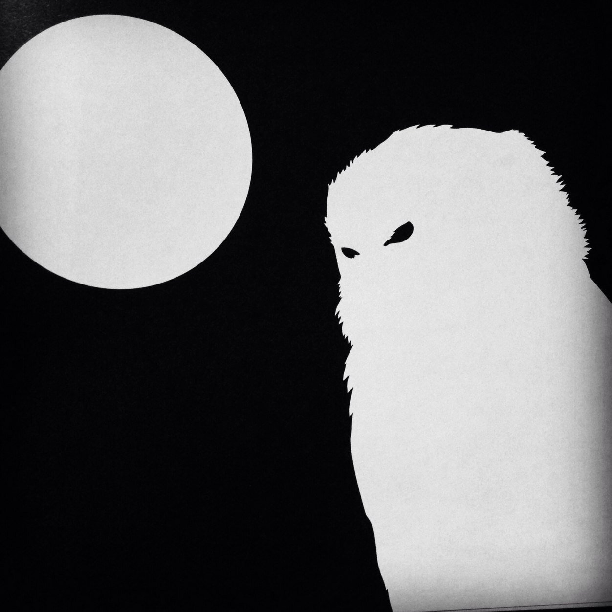 Rikji Owl
