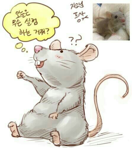 쥐로 실험하는 신경과학 전공 PostDoc / 일상과 현재 좋아하는 것들에 대한 주절거림 / 프사는 청람님(@kbo_seiran)이 그려주셨습니다.