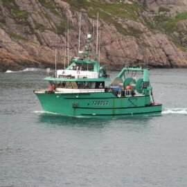 TODDHICKEY10's profile picture. 