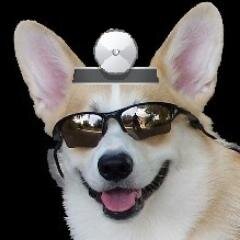 dr_mrdogさんのプロフィール画像